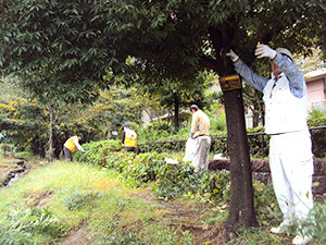 �������s�J�˂����炬�������������A��_���|����